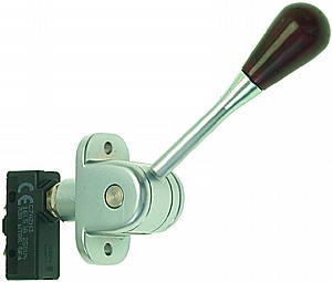 ���� ���� ������