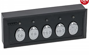 ���� ������ ���� ������ ���