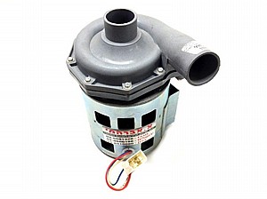 ���� ���� ����� ����� 0.74HP �:38/38