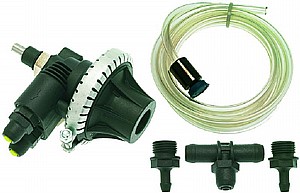 ����� ���� ����� �����