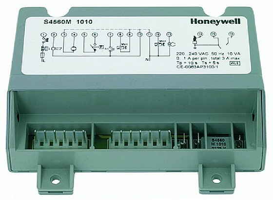 ����� ���� ����� �����