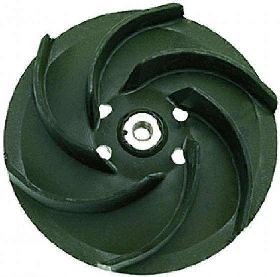 ������� ���� ���� �:120 �(1205)