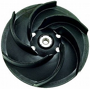 ������� ���� ���� �:116 (�(1204)