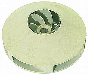 ������� ���� ����