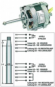 ���� ���� LAINOX �� ��� ����� 1057