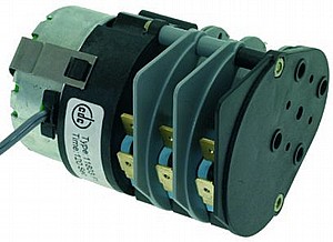 ����� ���� ����� 3 ���