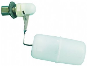 ���� ���� ��� Scotsman