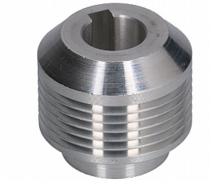 ���� ����� ��� DITO