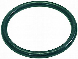 ��� ���� ����� �����