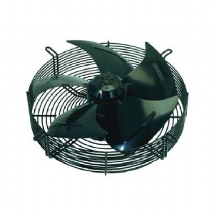 ���� ��� ��� ���� 30 ����