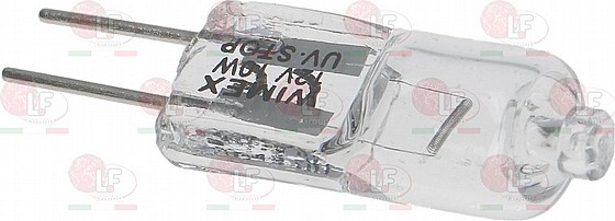 ���� ����� ����� SPIN ������