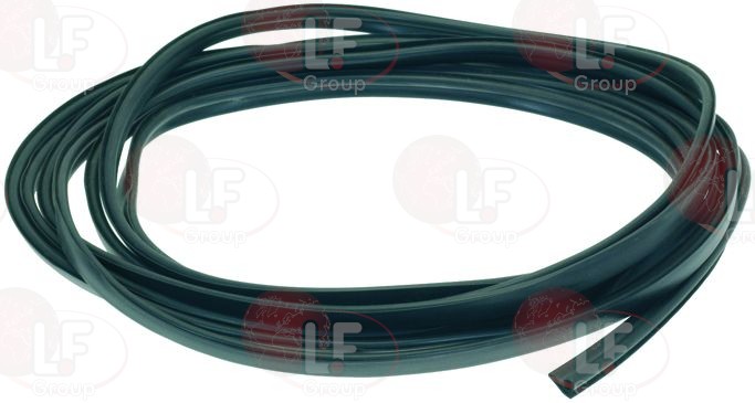 ��� ��� ����� ����� 