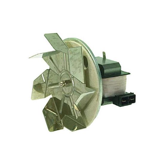 ���� ����� ����� 