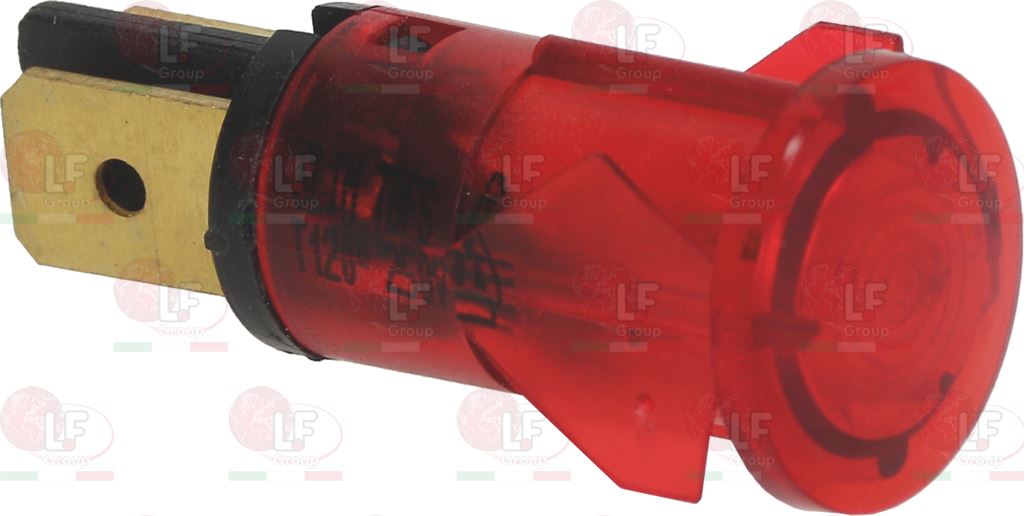 ���� ����� �����