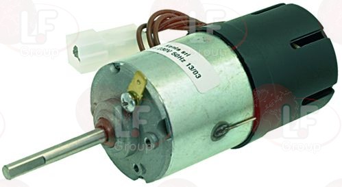 ���� ������