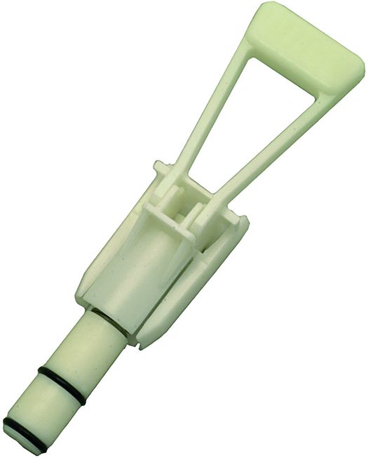 ���� ������ ���