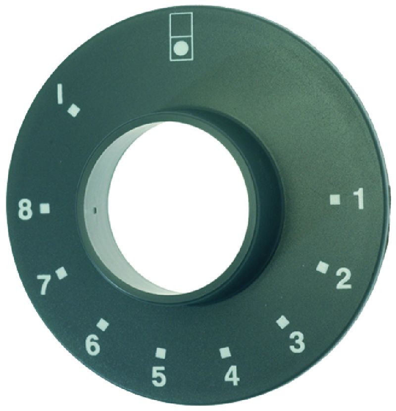 ����� ���� �����