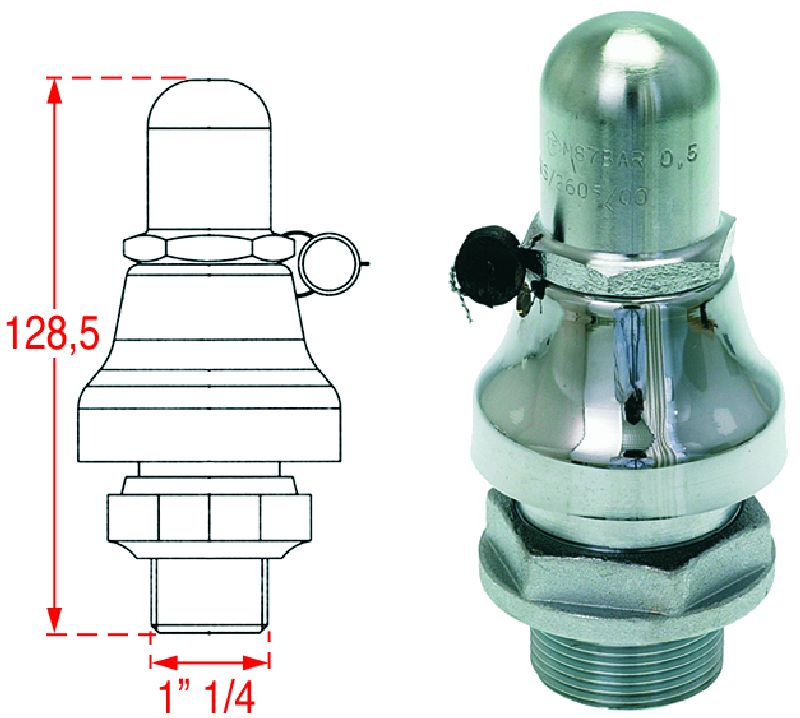 ������ ������ ���� �����