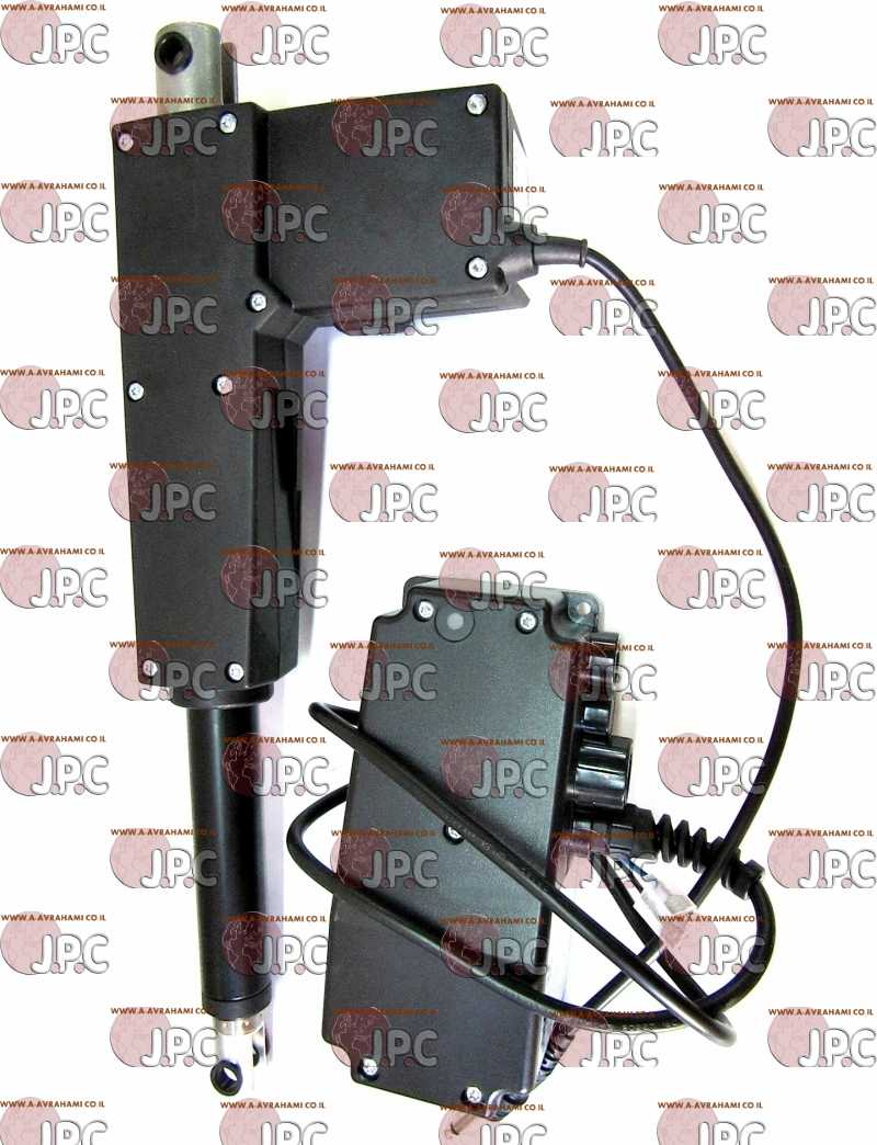 ������ ���� ���� �����