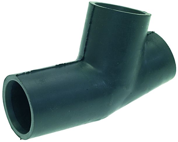 ����� ���� �����