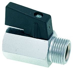 ��� ���� ����� �����