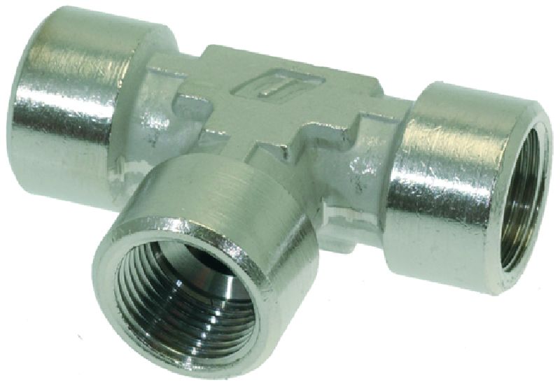 ���� ����� �����