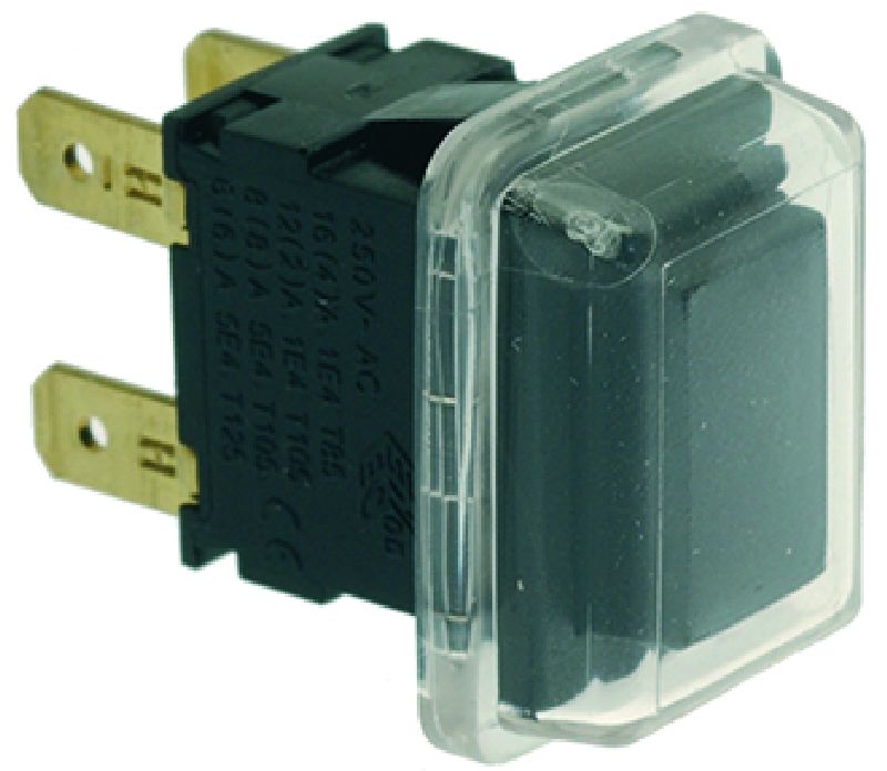 ���� ����� �����