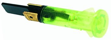 ���� ������ ���