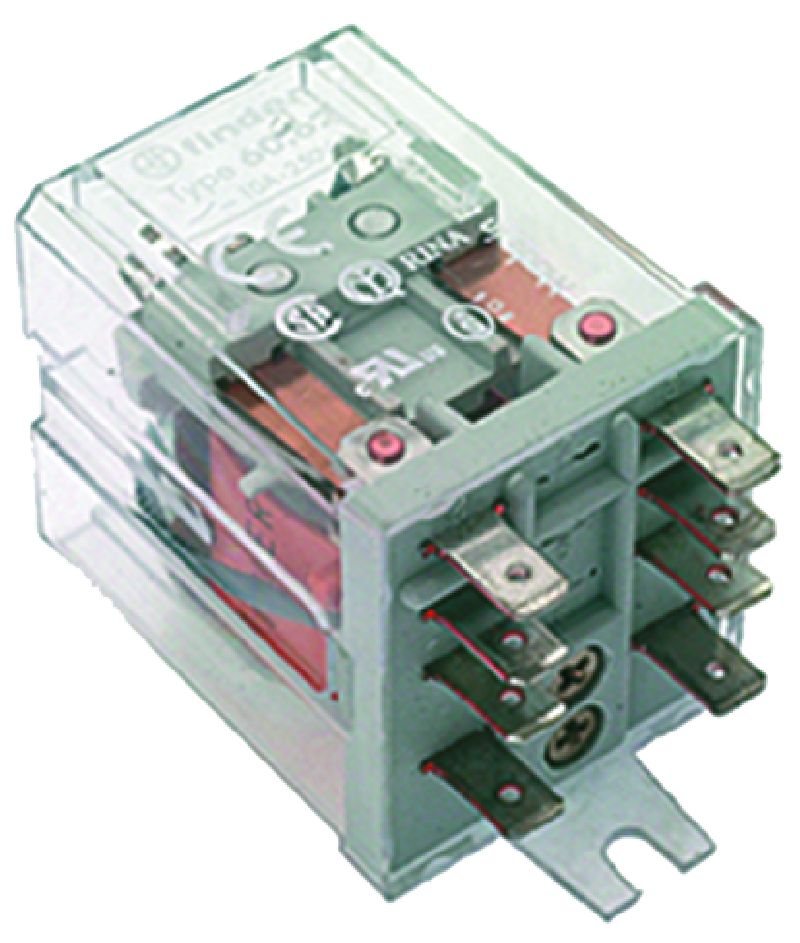 ���� ������ ���