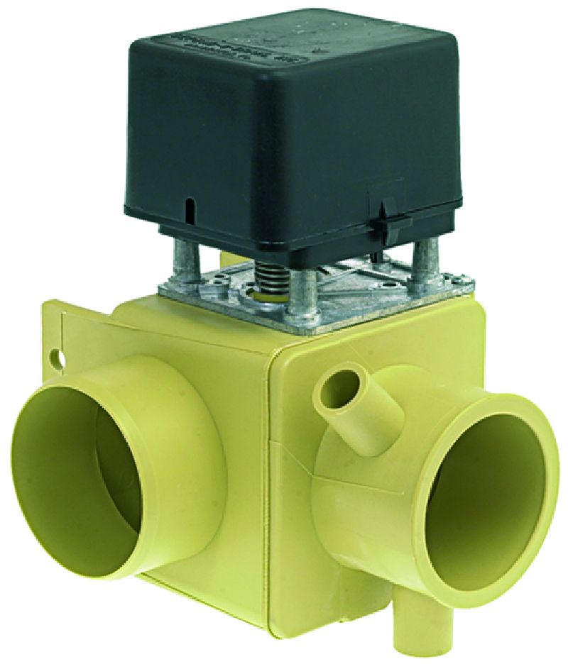 ��� ����� ������ ����� ������